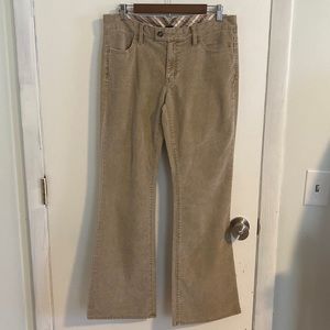 Long and Lean Corduroy Pant